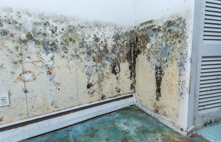 Professional mold removal, odor control, and water damage restoration service in Grand Junction, Colorado.